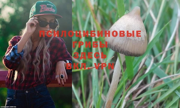 PSILOCYBIN Алексин