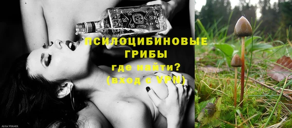 амф Алексеевка
